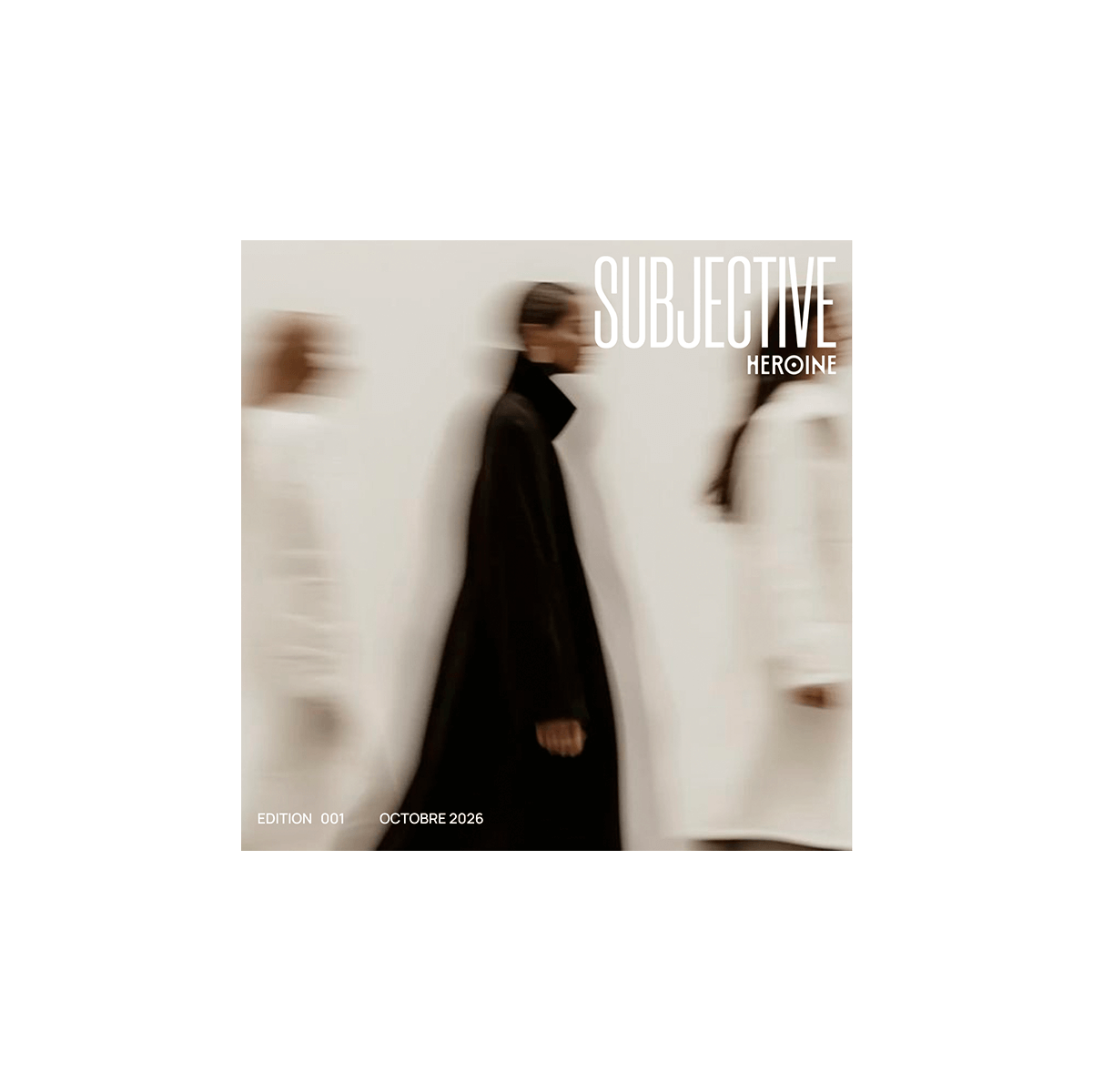 3D visual of the book Le magasin est-il mort