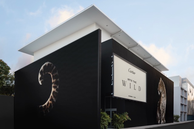 Cartier Opens Free Panther Exhibition in Miami This Weekend
