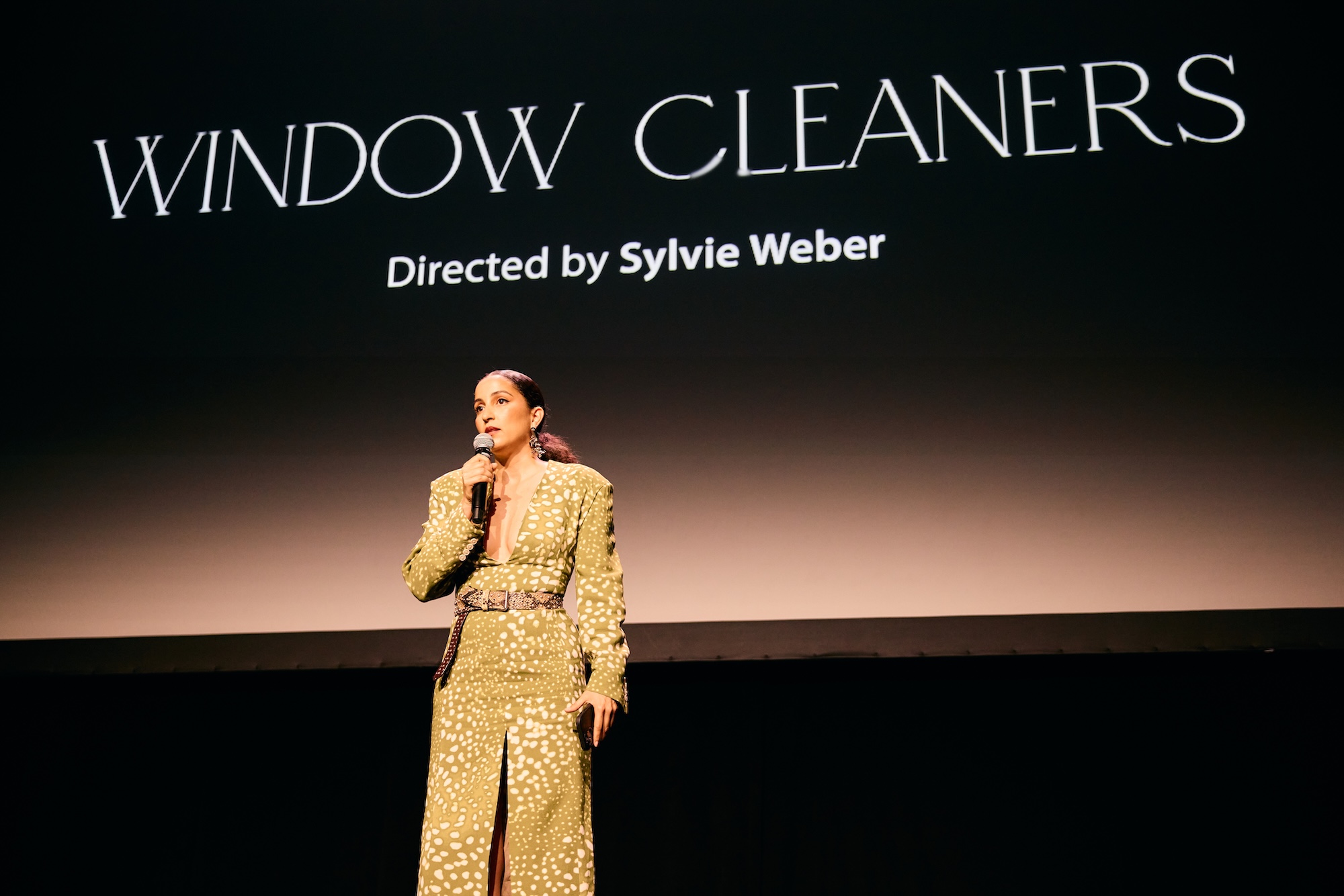 Hanging by a Thread: Sylvie Weber on the Moral Edge of Window Cleaners