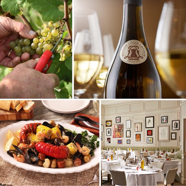 ELEVATE YOUR CHARDONNAY: DISCOVER THE FRENCH ELEGANCE OF POUILLY-FUISSÉ AND MÂCON-LUGNY