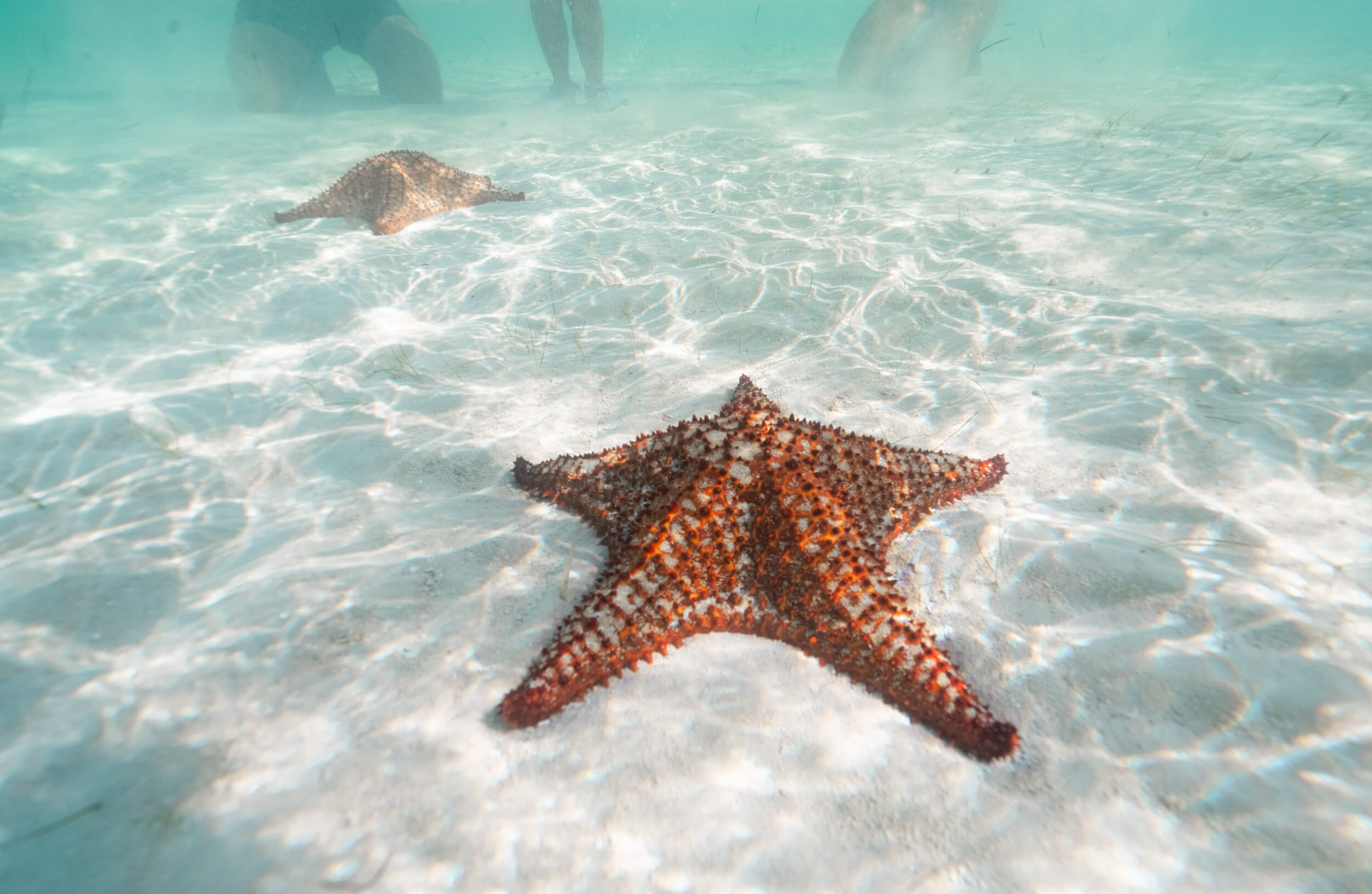 Vacation Escapes That Go Beyond the Beach: The Florida Edition