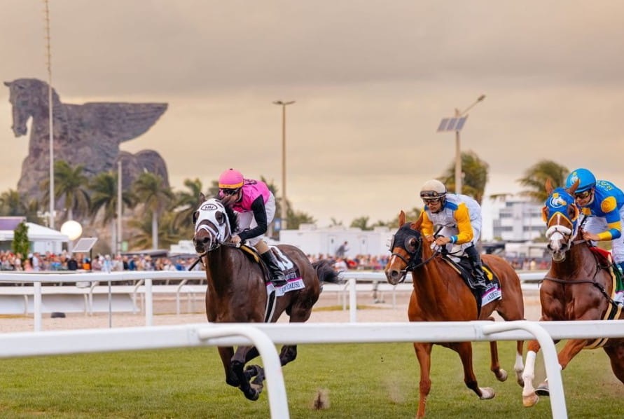 Gulfstream Park Is Hosting a Kentucky Derby Watch Party in Hallandale Beach This May