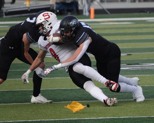 Wolves continue historic season with quarterfinal's win