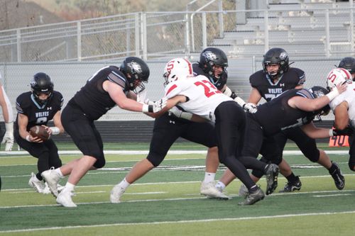 Wolves continue historic season with quarterfinal's win