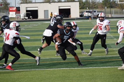 Wolves continue historic season with quarterfinal's win