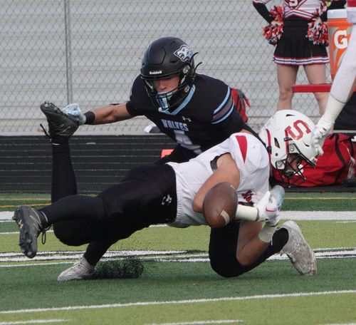 Wolves continue historic season with quarterfinal's win