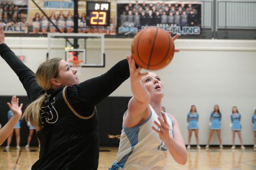 Wolves make statement with home win over T-Birds