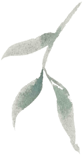 Wedding Sax and DJ for hire