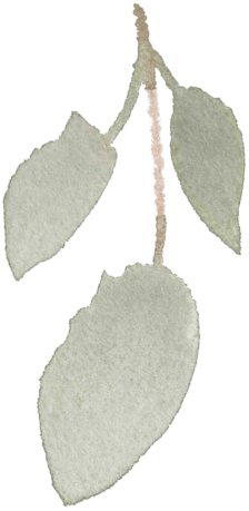 Wedding Sax and DJ for hire