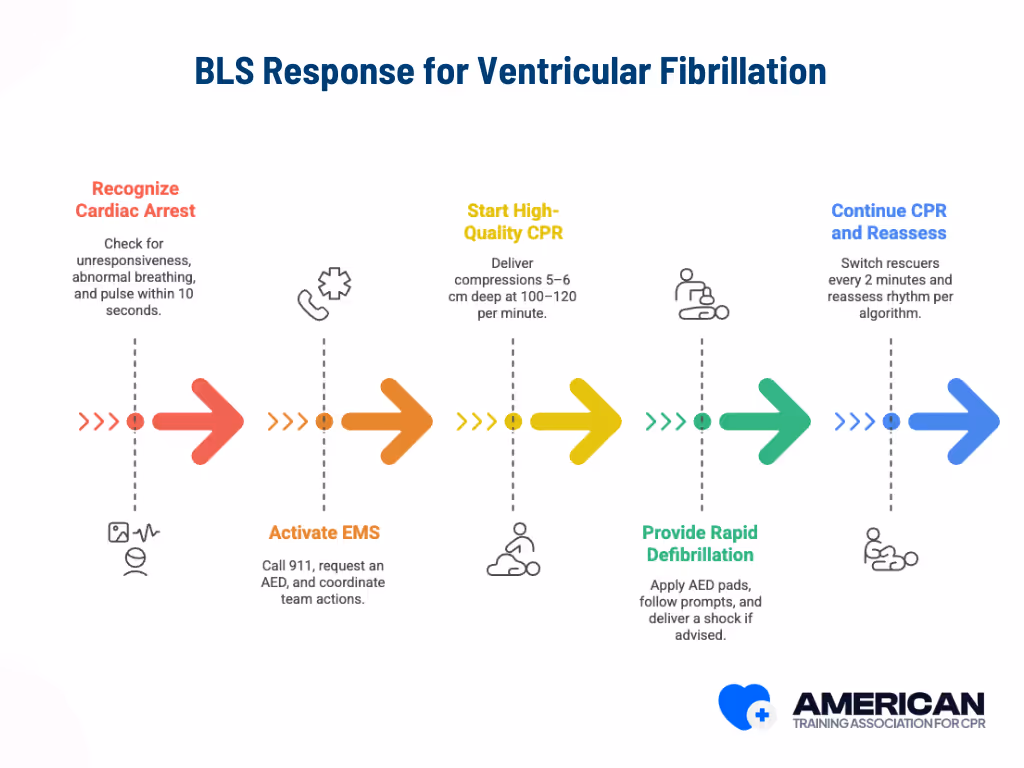 BLS Steps for Ventricular Fibrillation