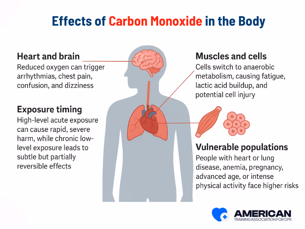 how ca bon monoxide affects the body
