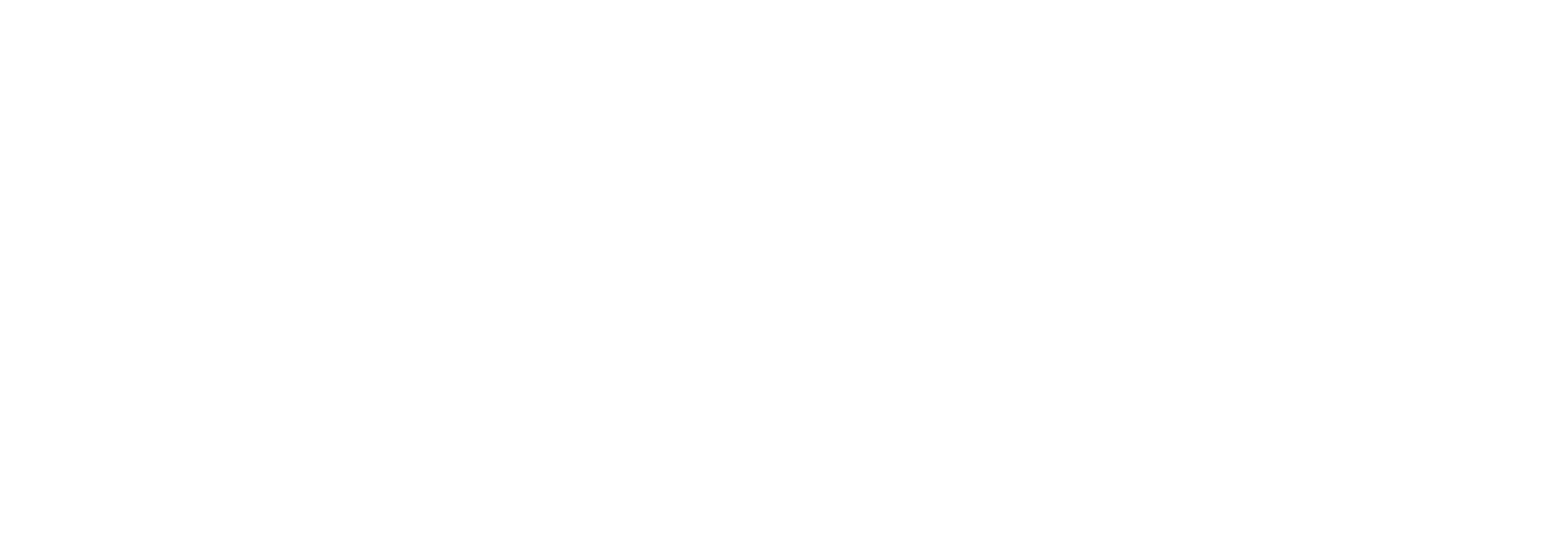 2020INC logo