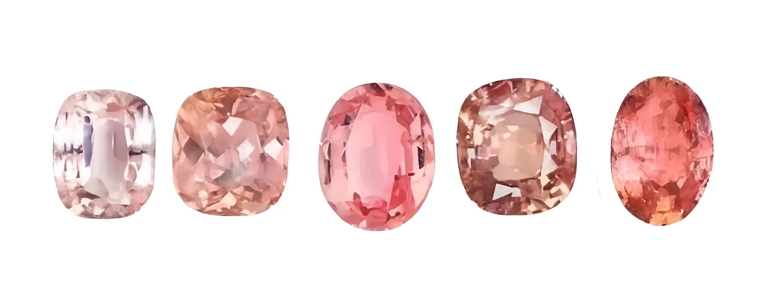 latest blog post photo