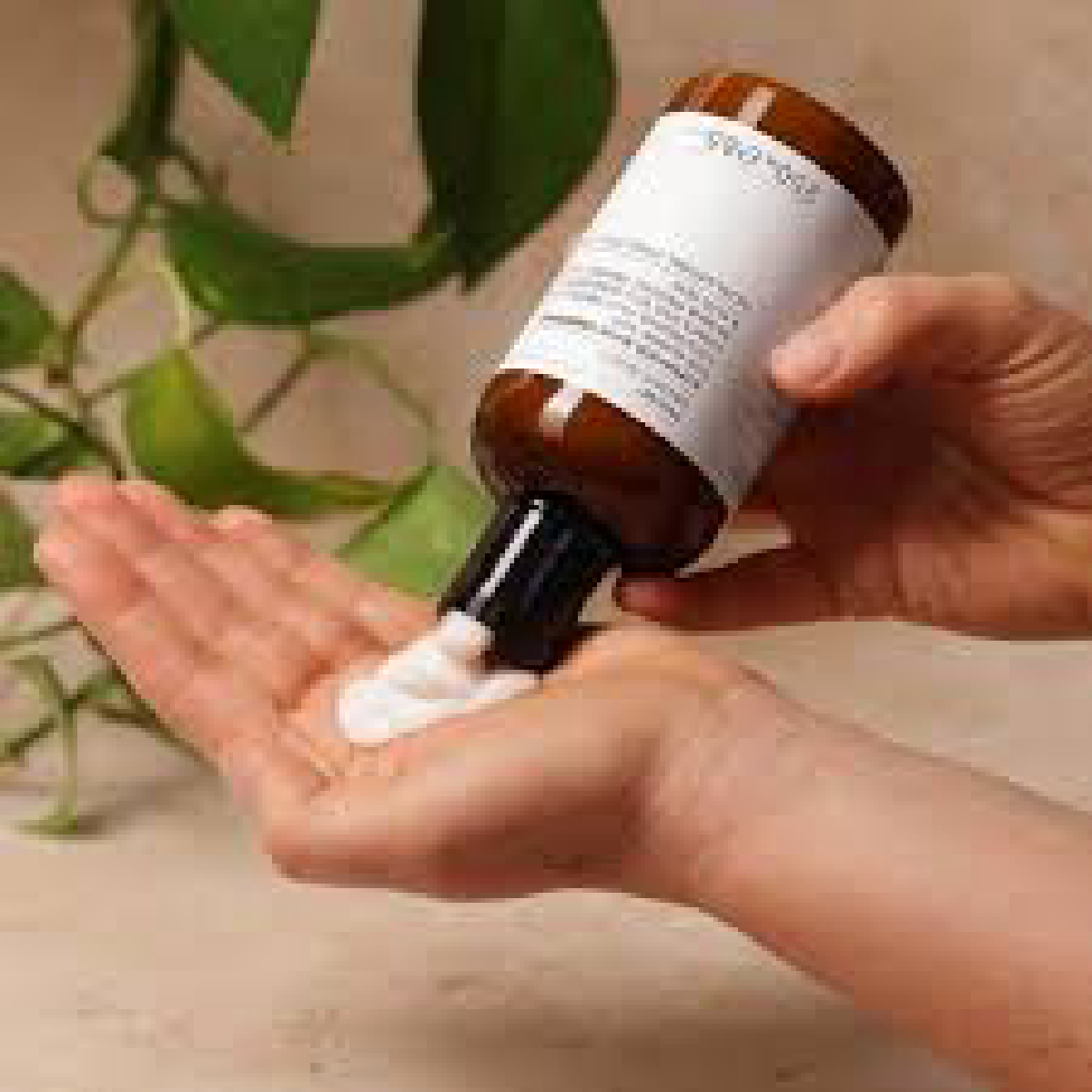 Une image de la marque Evolve Organic Beauty