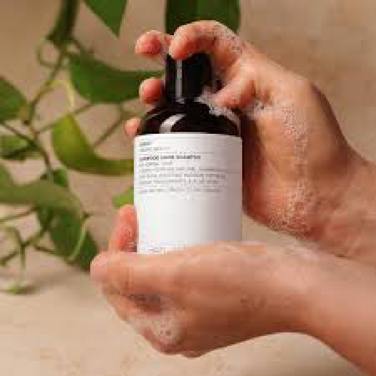 Une image de la marque Evolve Organic Beauty