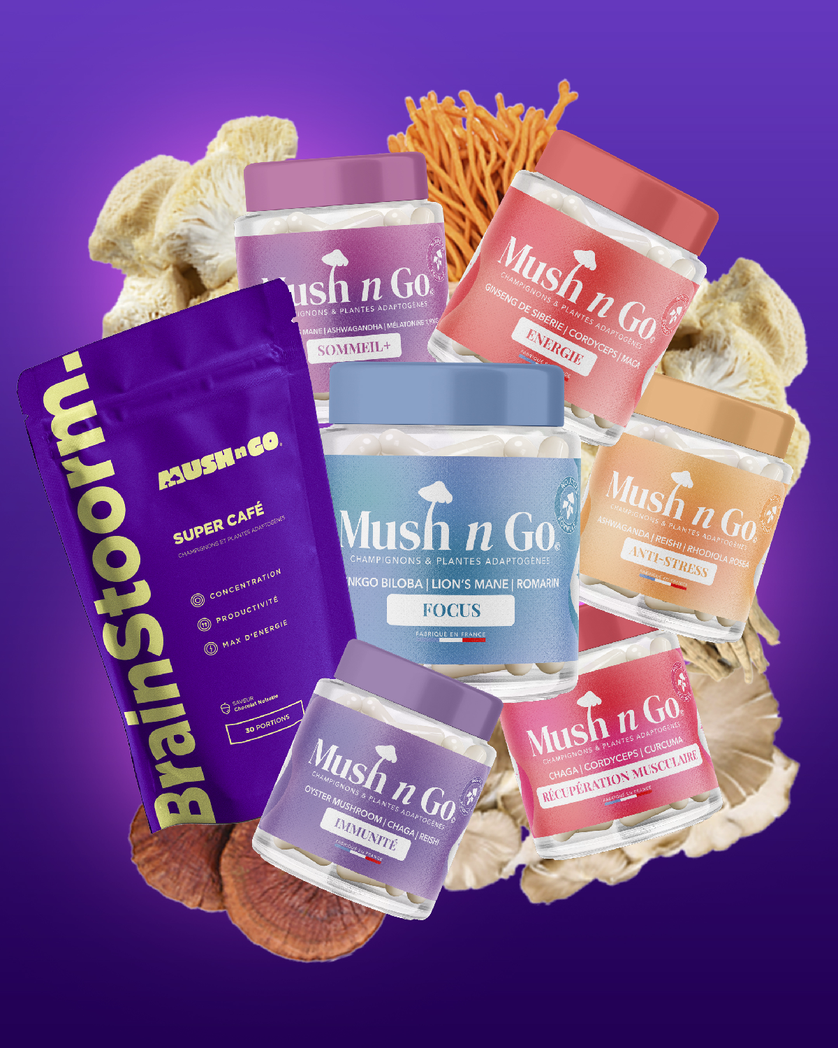 Mush'n'go