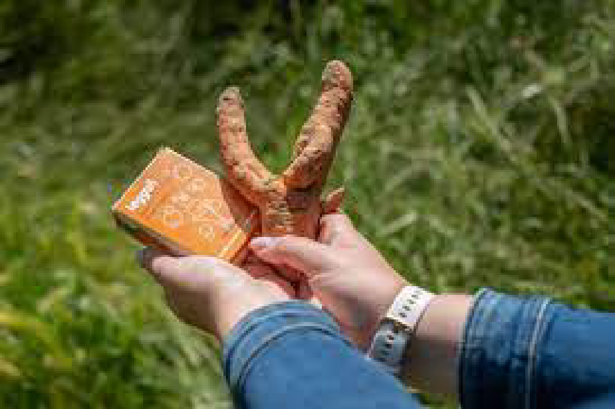 Une image de la marque Leggun