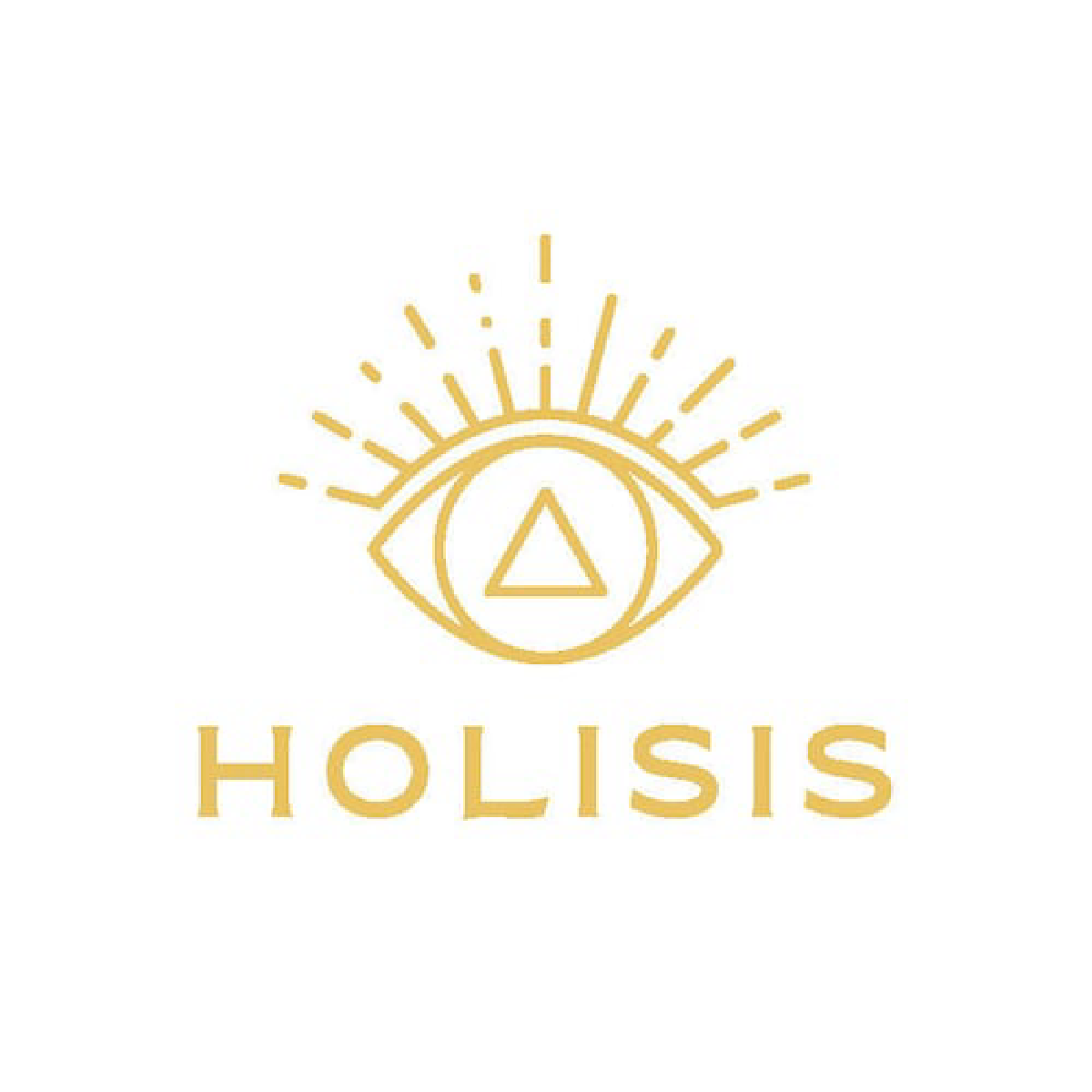 logo de la marque Holisis