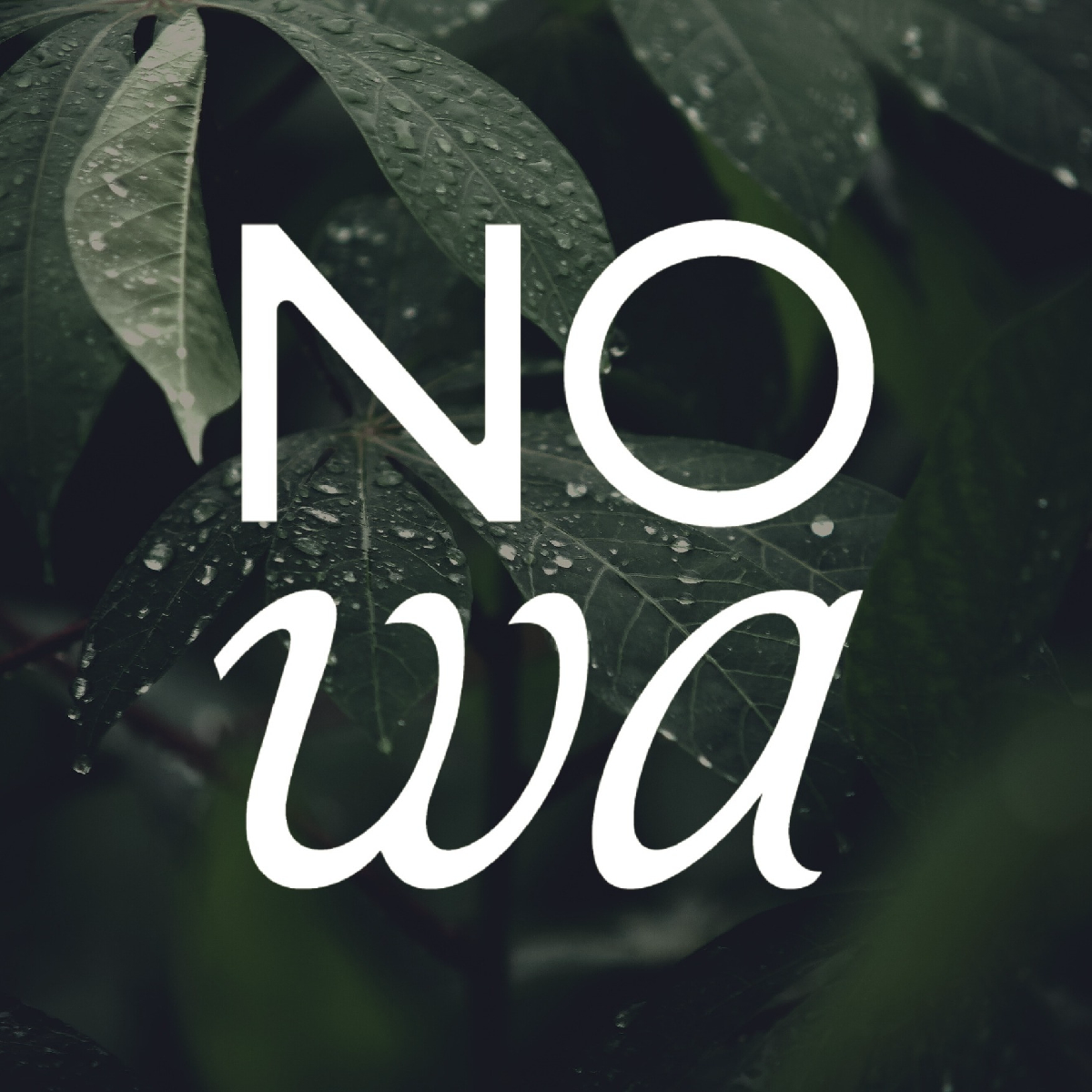 logo de la marque Nowa Cosmetics