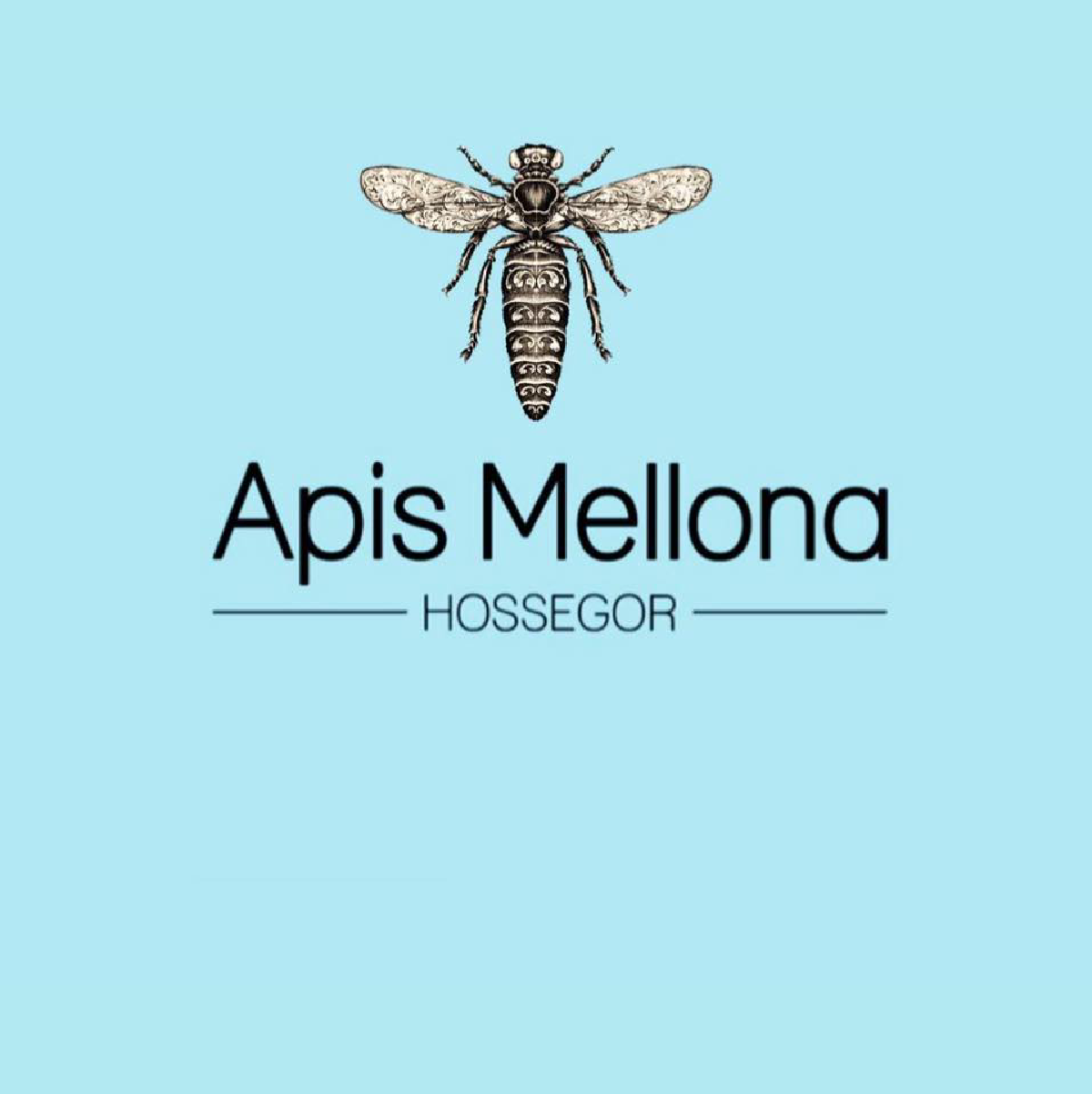 logo de la marque Apis Mellona