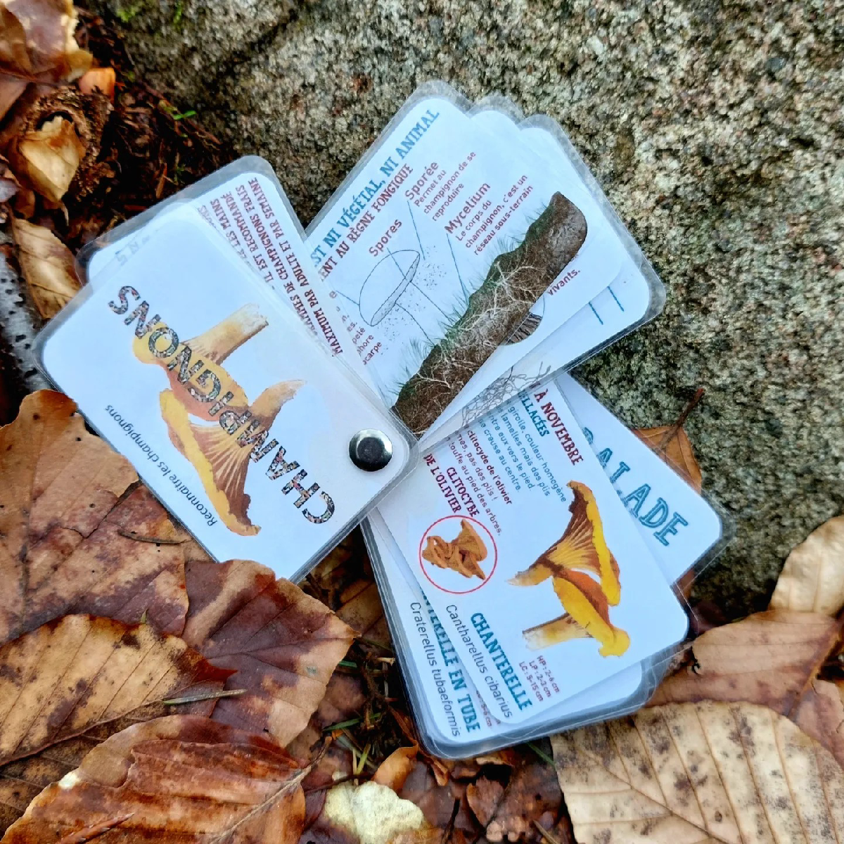 Une image de la marque Les Carnets de Pierre