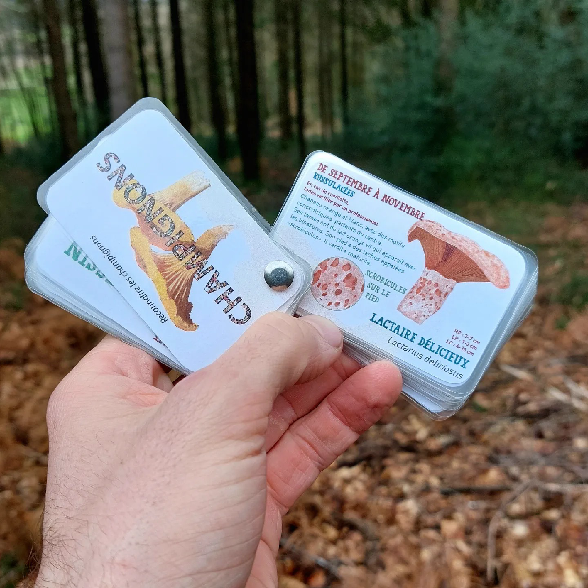 Une image de la marque Les Carnets de Pierre
