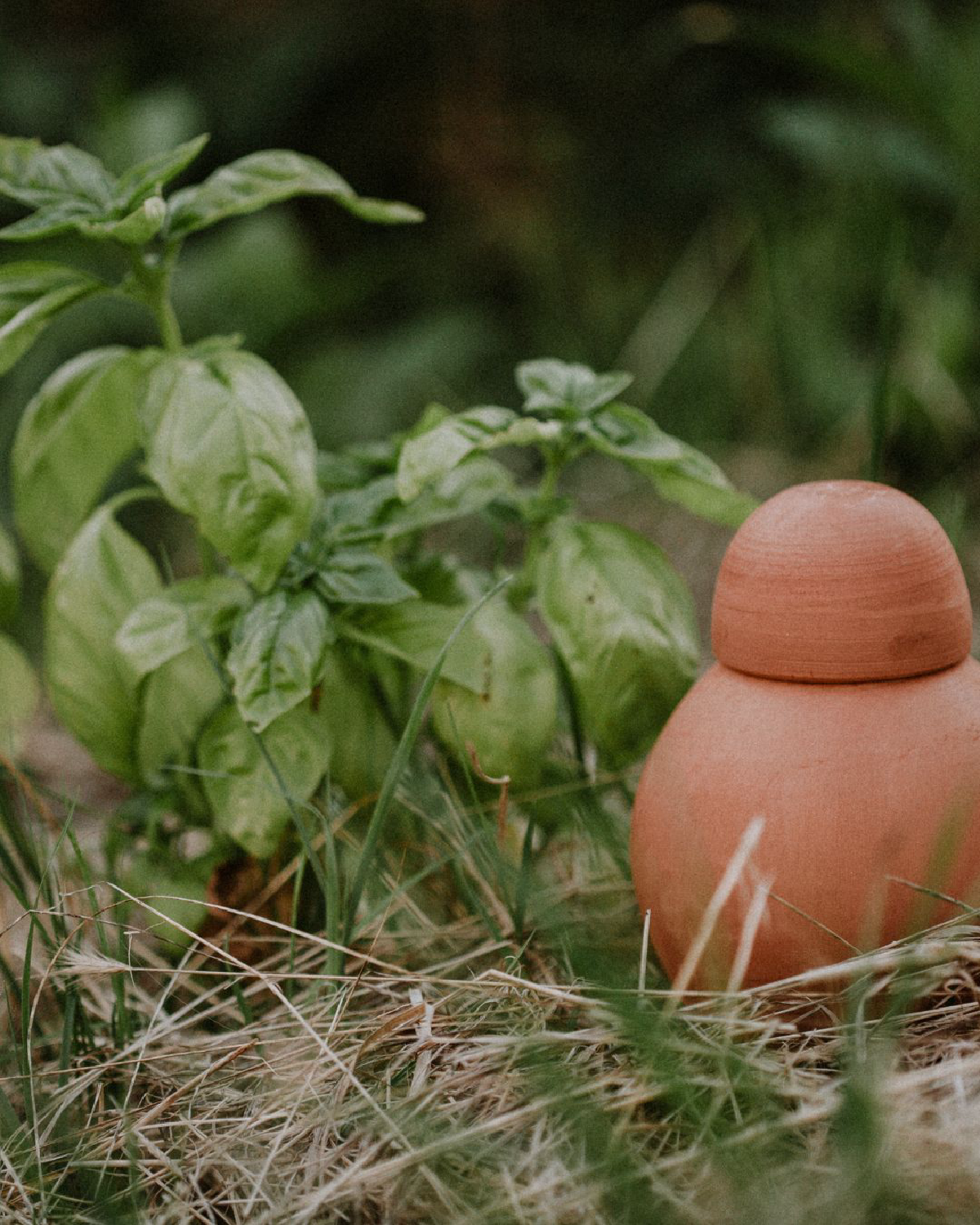 Une image de la marque Poterie Lutton