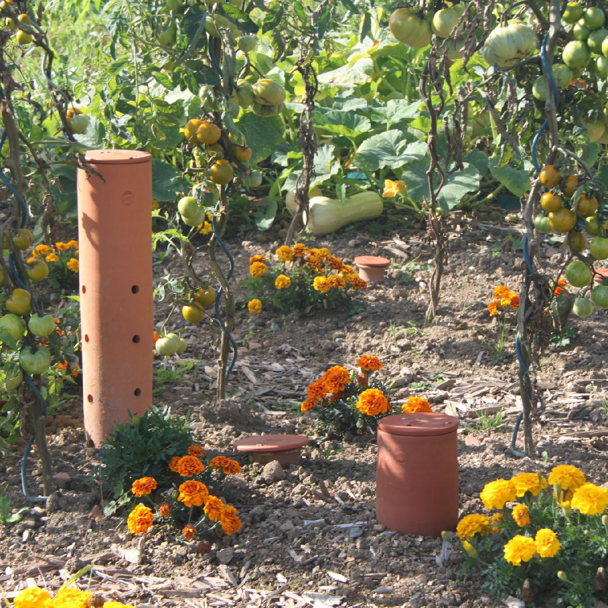 Une image de la marque Poterie Lutton