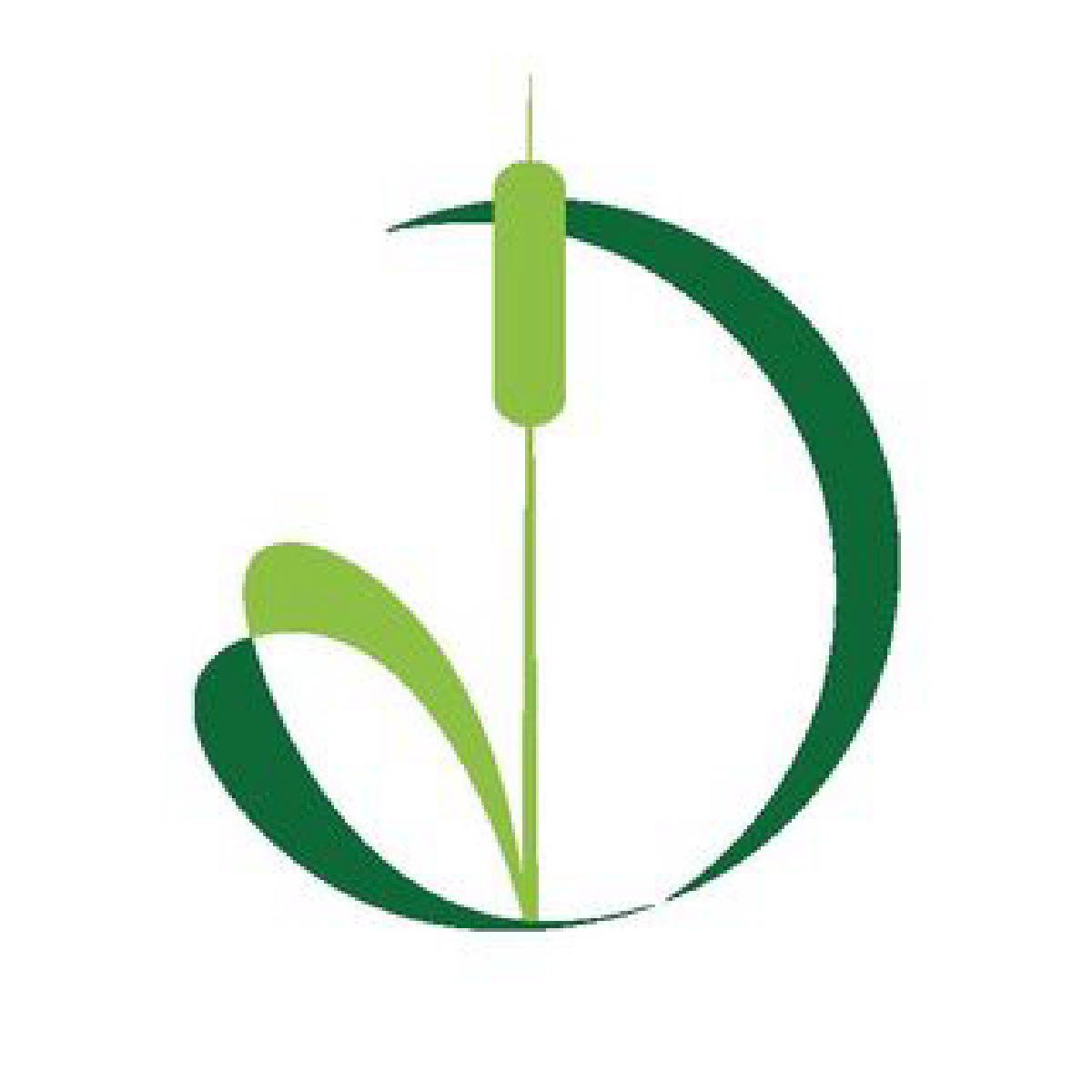 logo de la marque Histoire de roseau