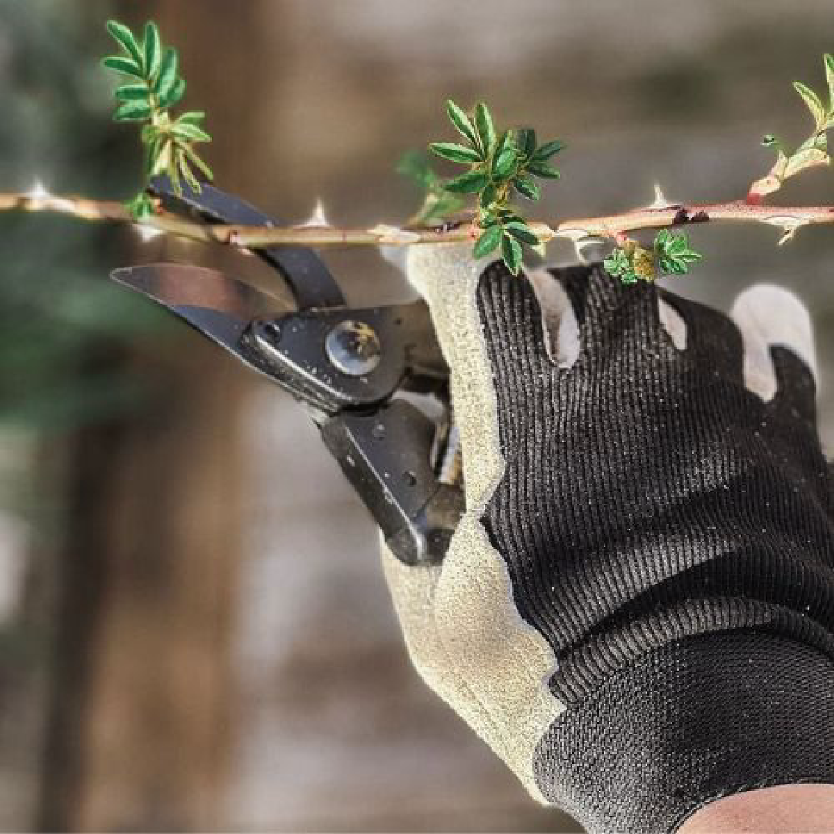 Une image de la marque By Benson