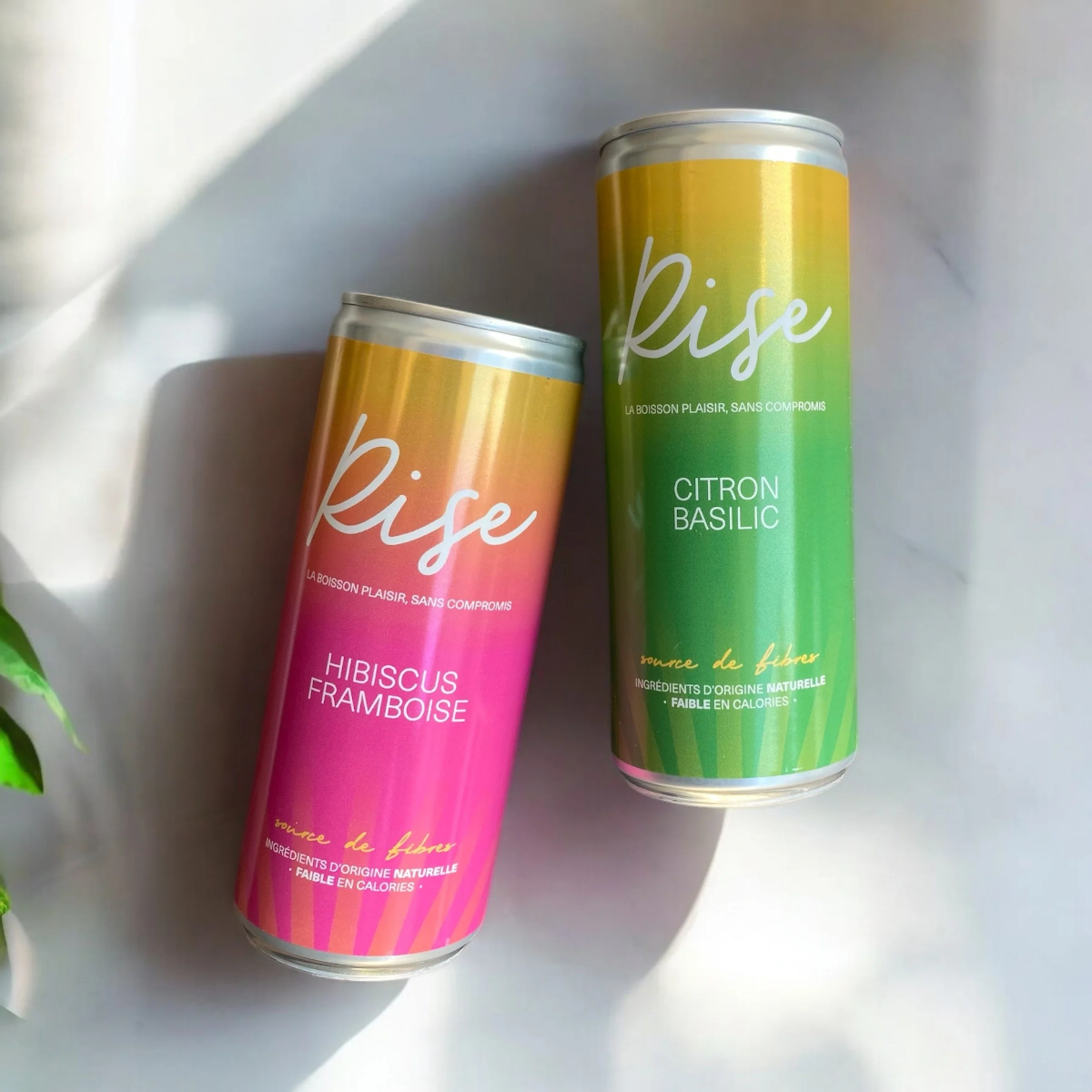 RISE DRINKS