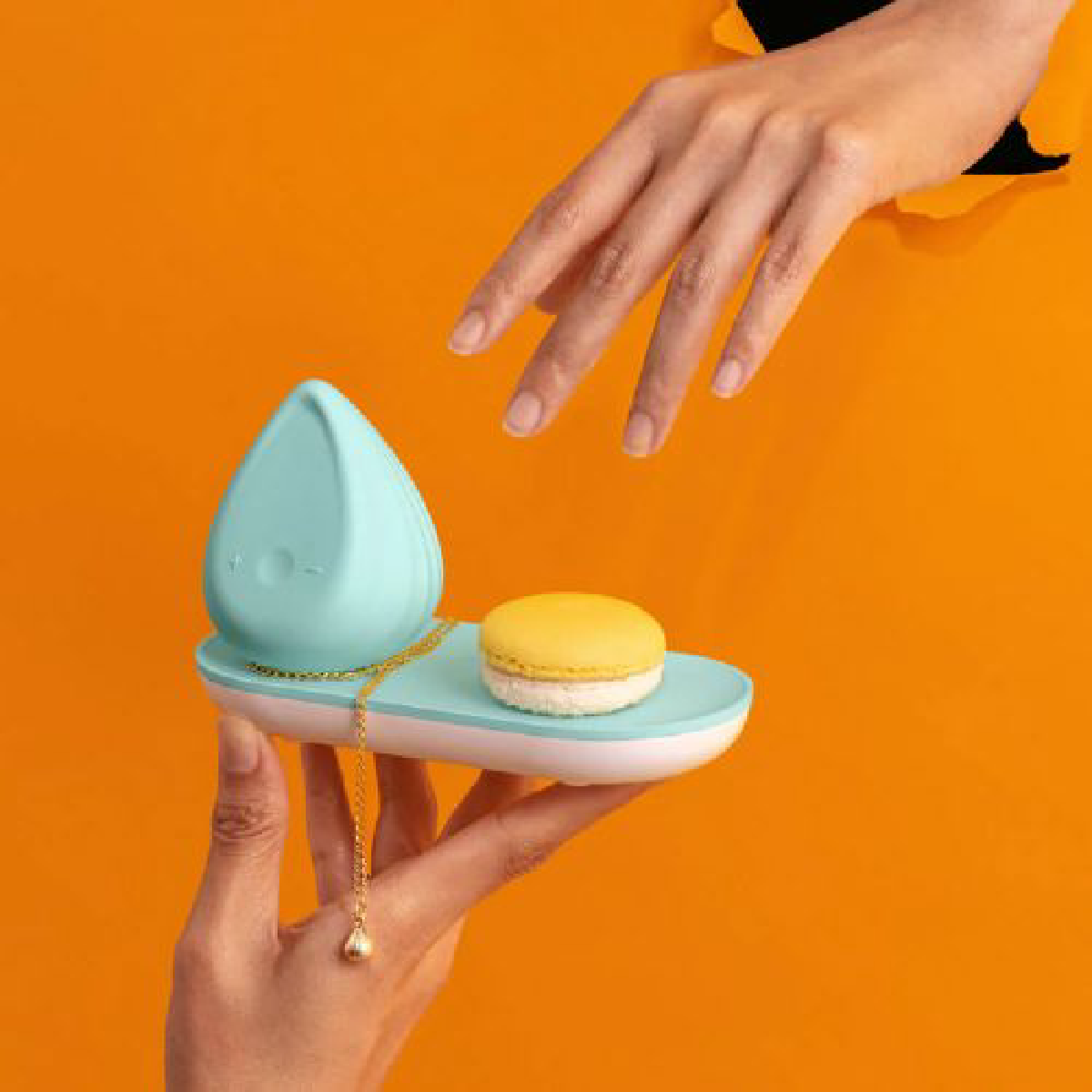 Une image de la marque Biird