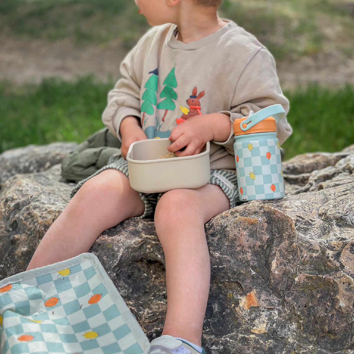 Une image de la marque Holibelly