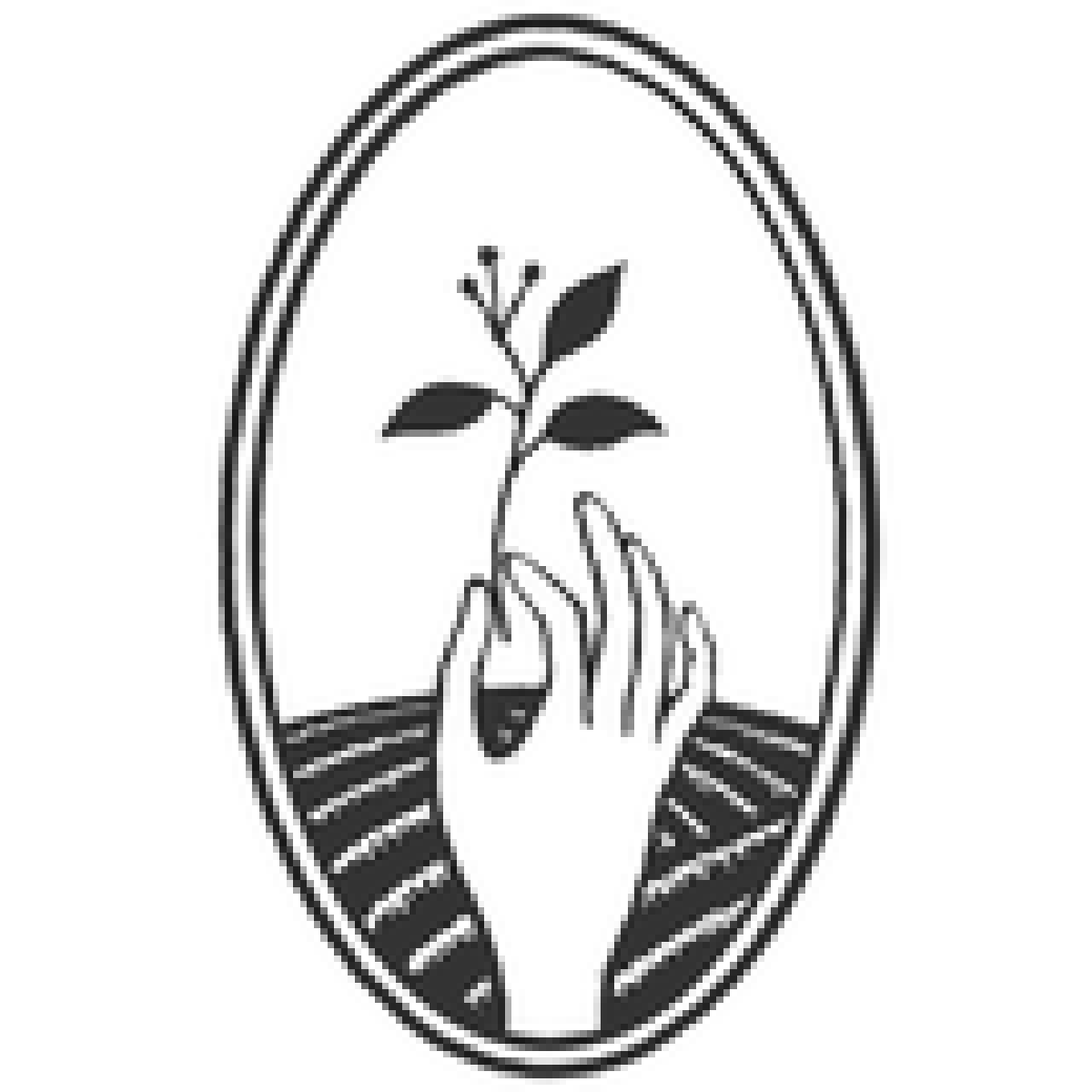logo de la marque Chic des Plantes !