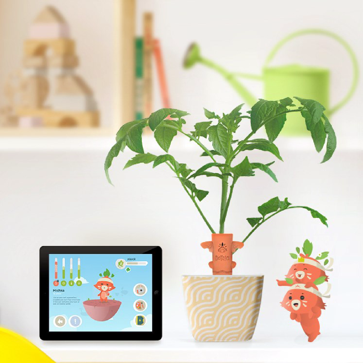 Une image de la marque Botaki