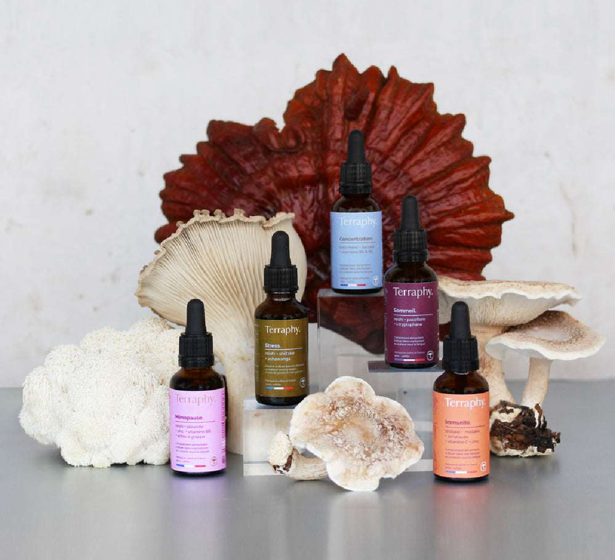 Une image de la marque Terraphy