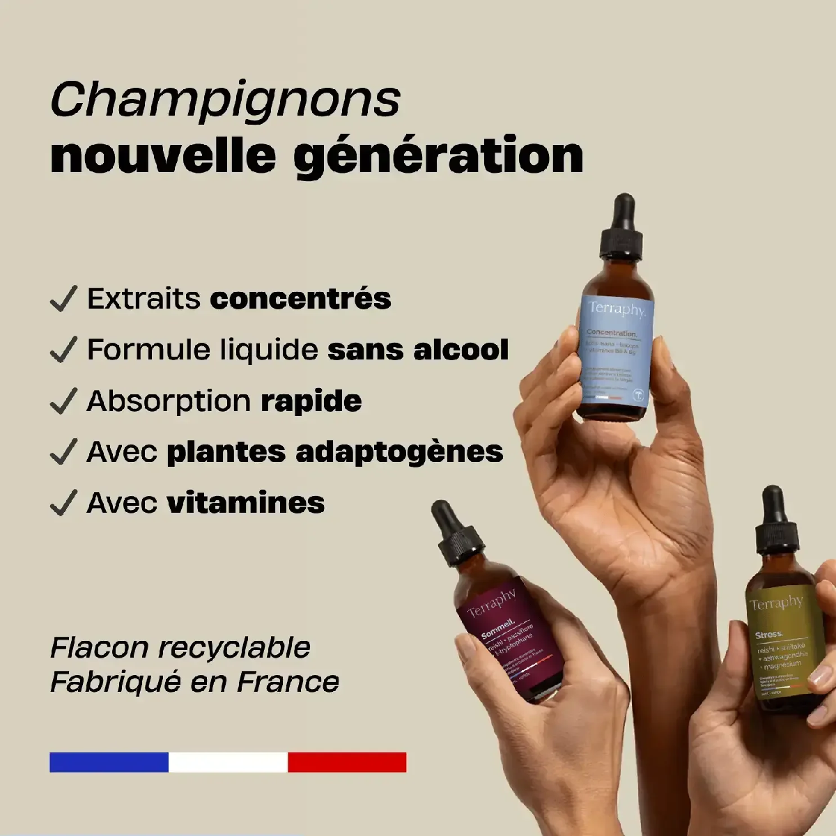 Une image de la marque Terraphy