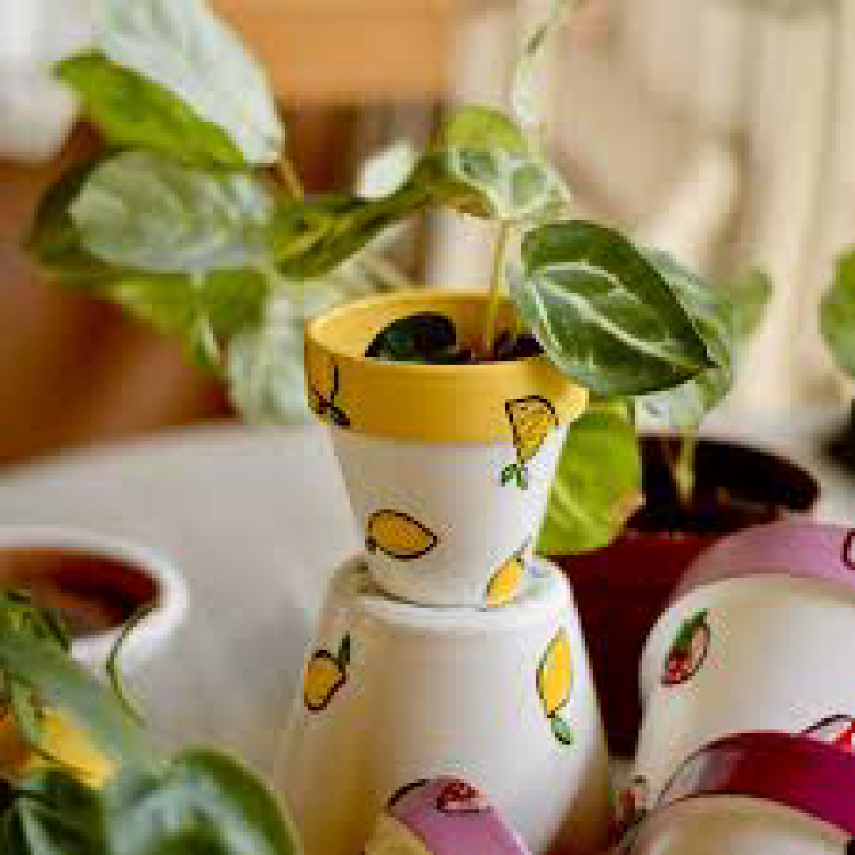 Une image de la marque Joli Pot