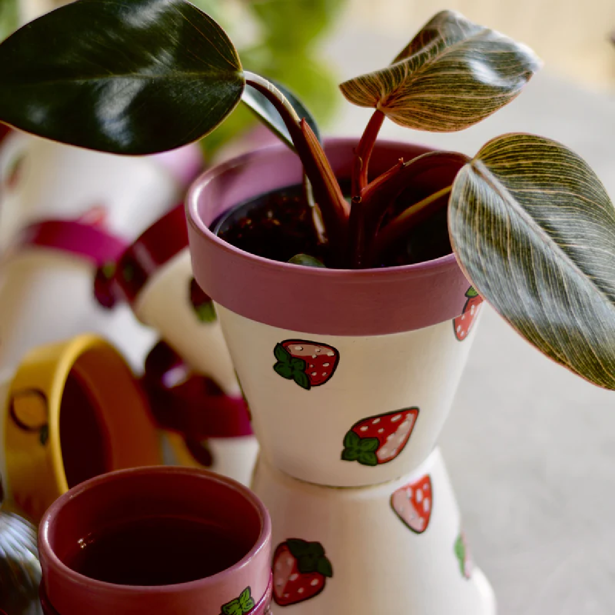 Une image de la marque Joli Pot