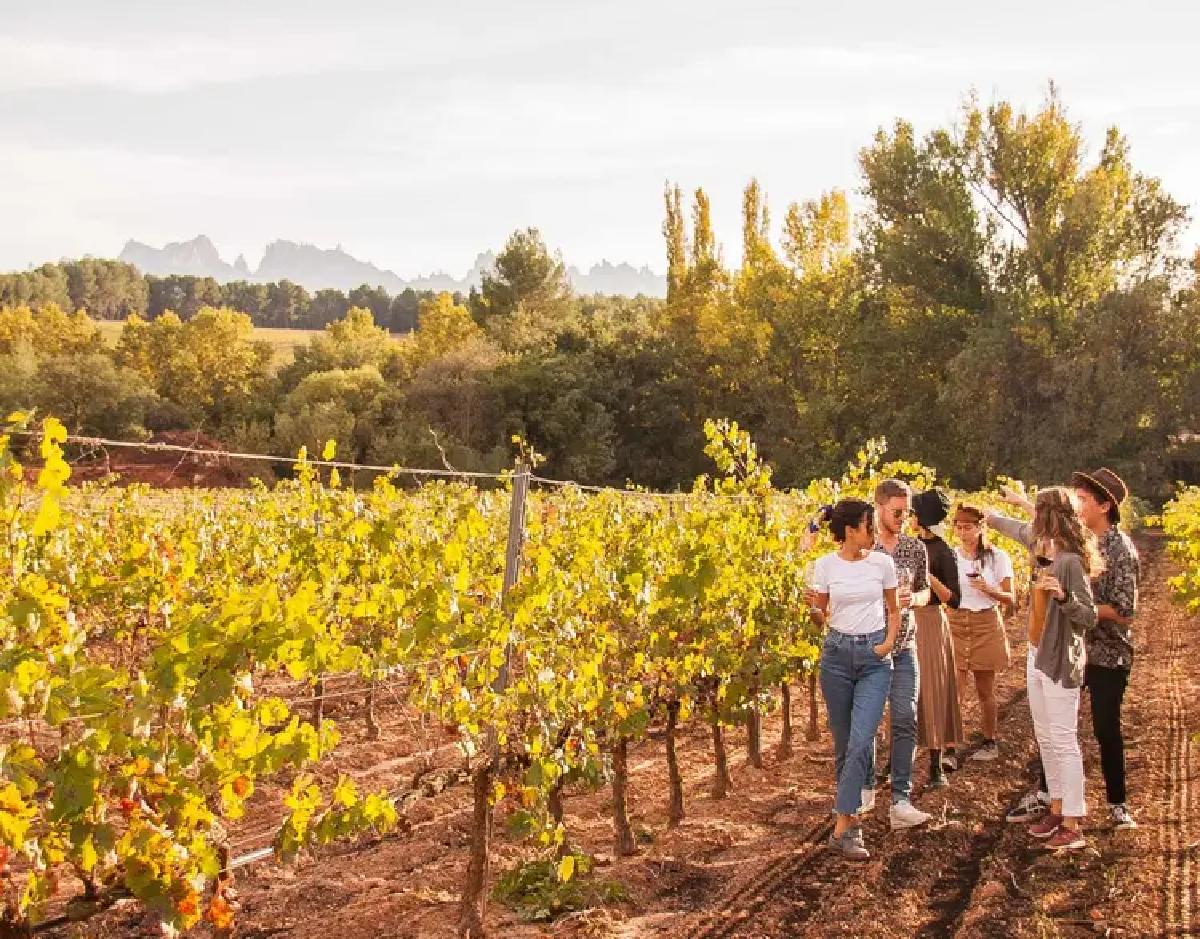 Une image de la marque Winalist