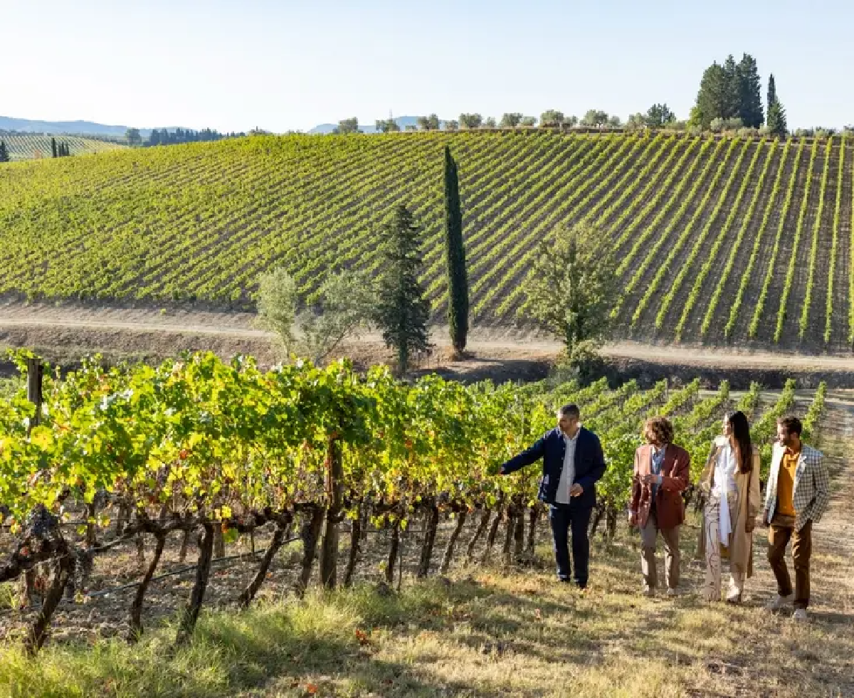 Une image de la marque Winalist