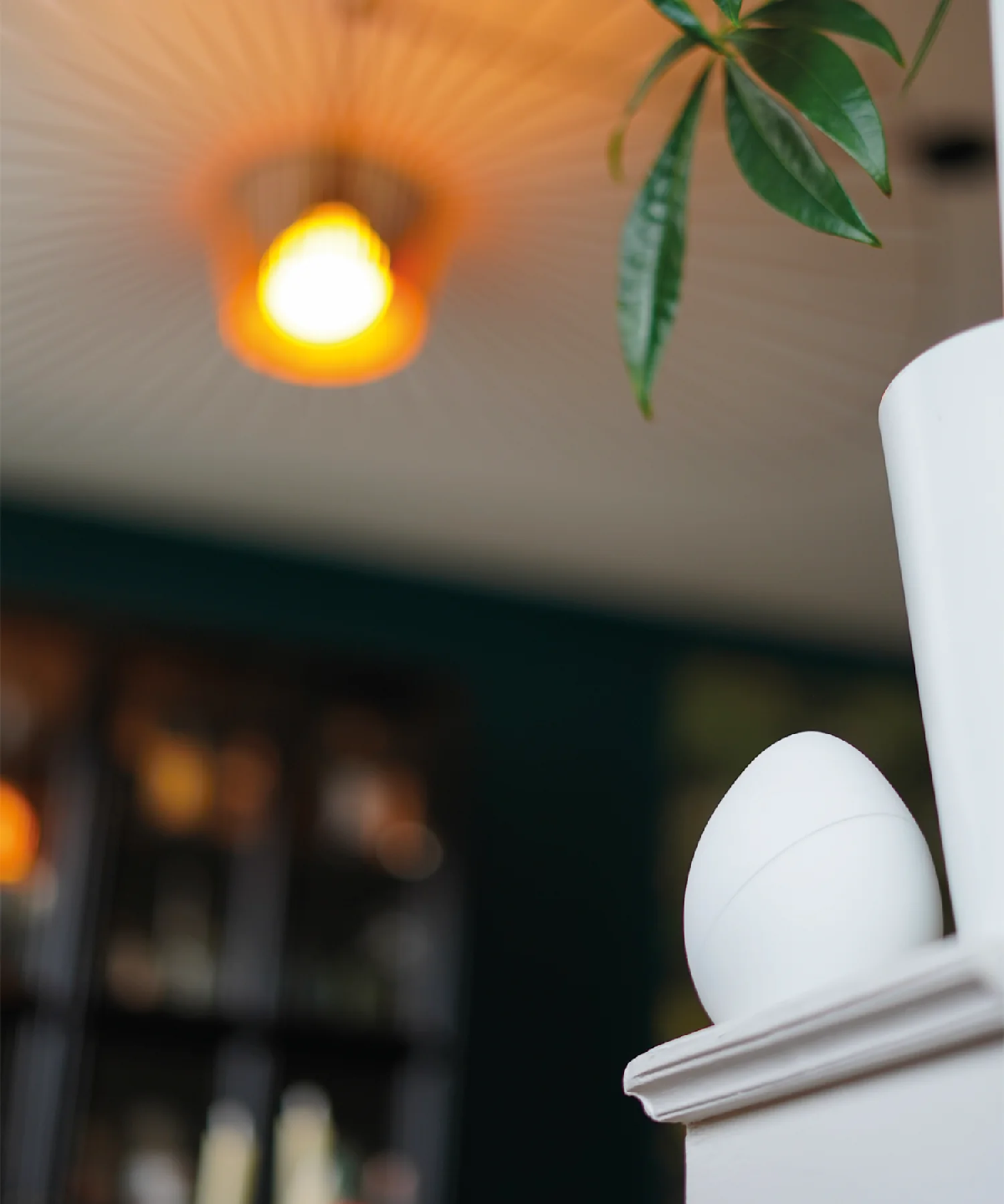 Une image de la marque Laqi