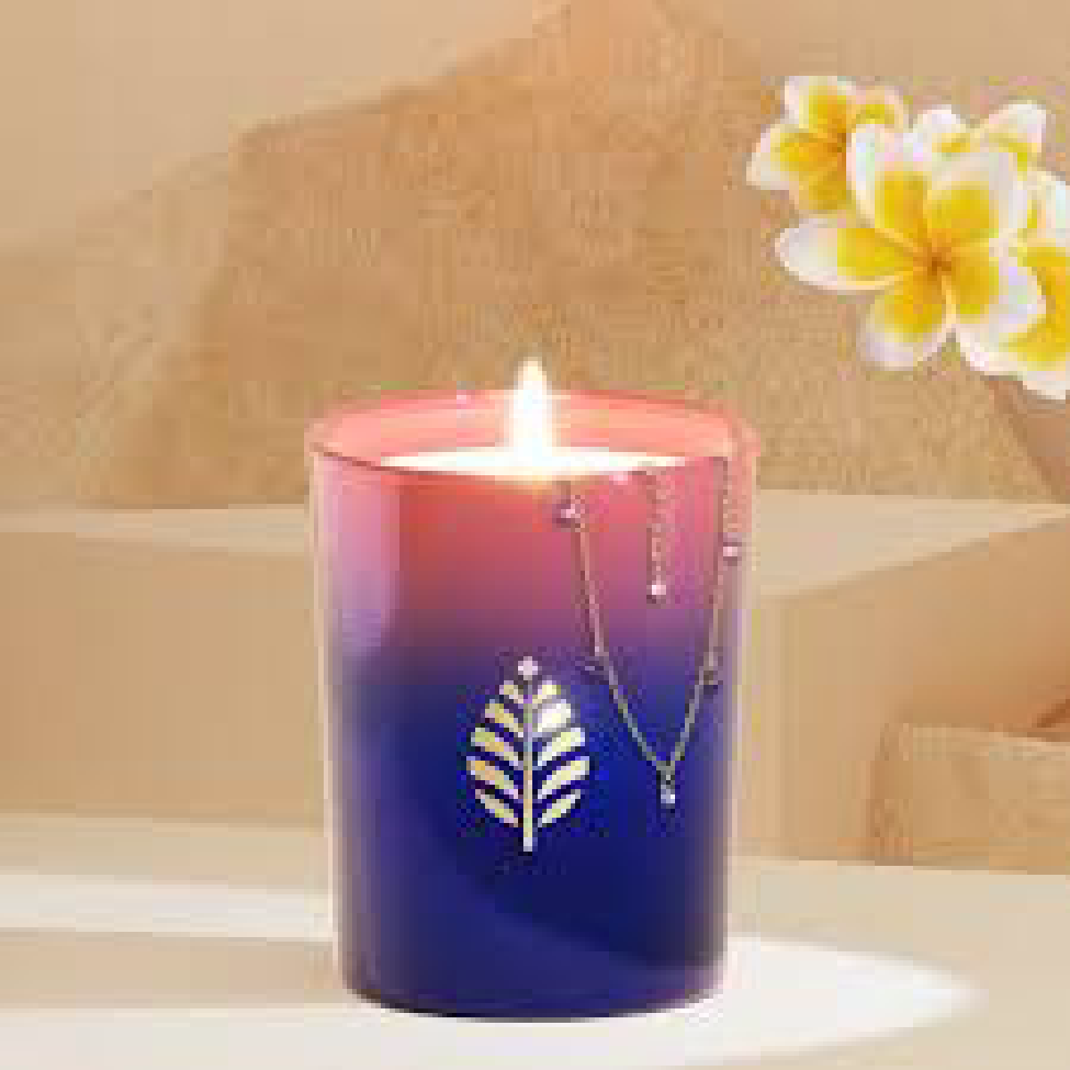 Une image de la marque Les Merveilleuses