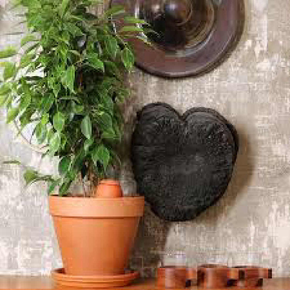 Une image de la marque Wepot