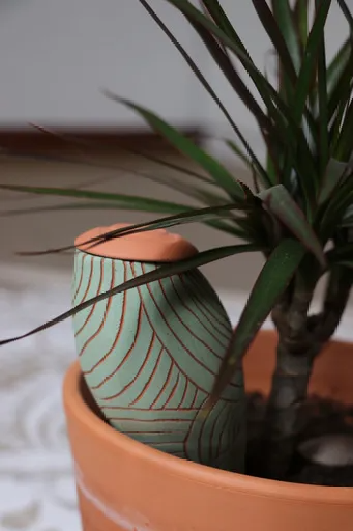 Une image de la marque Wepot