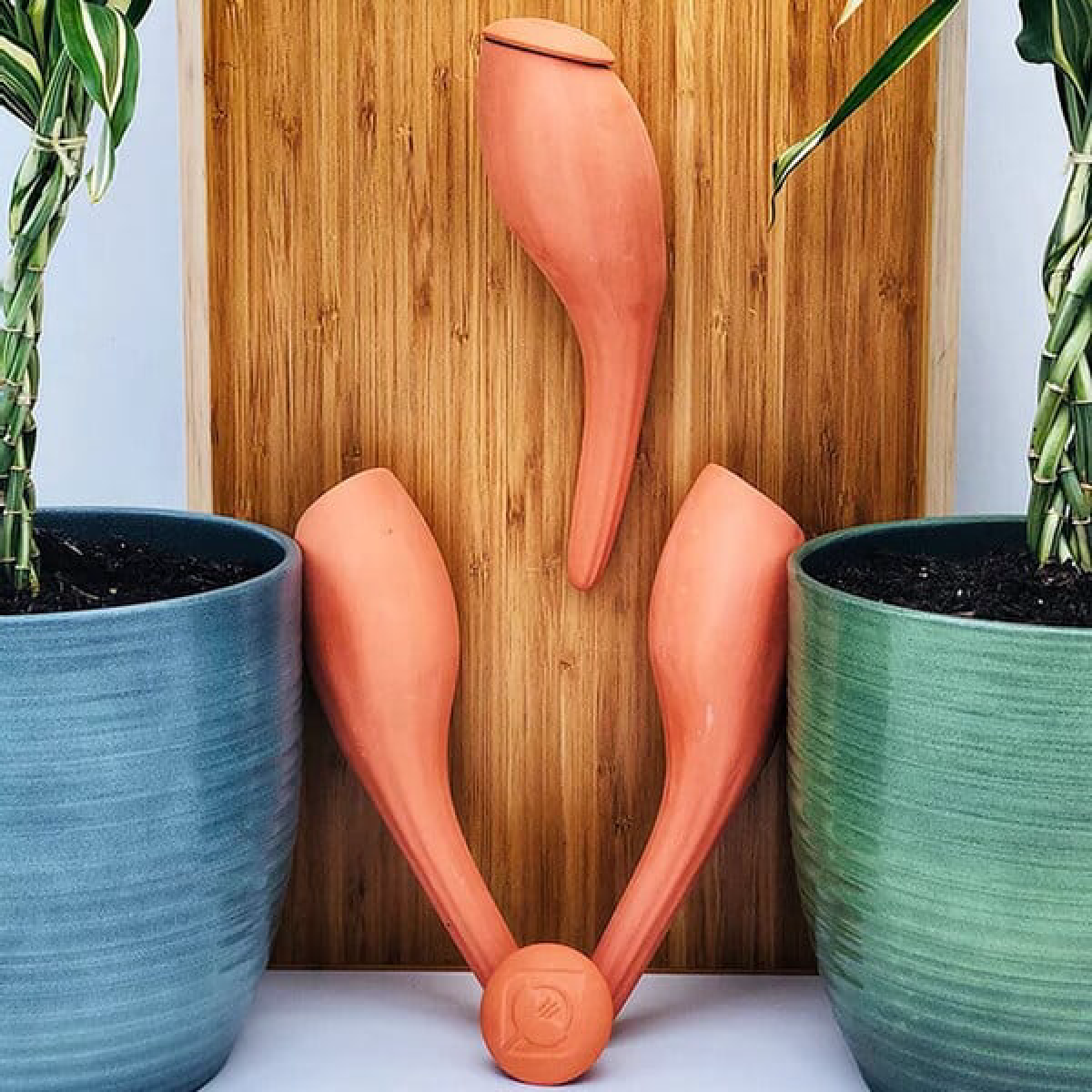 Une image de la marque Wepot