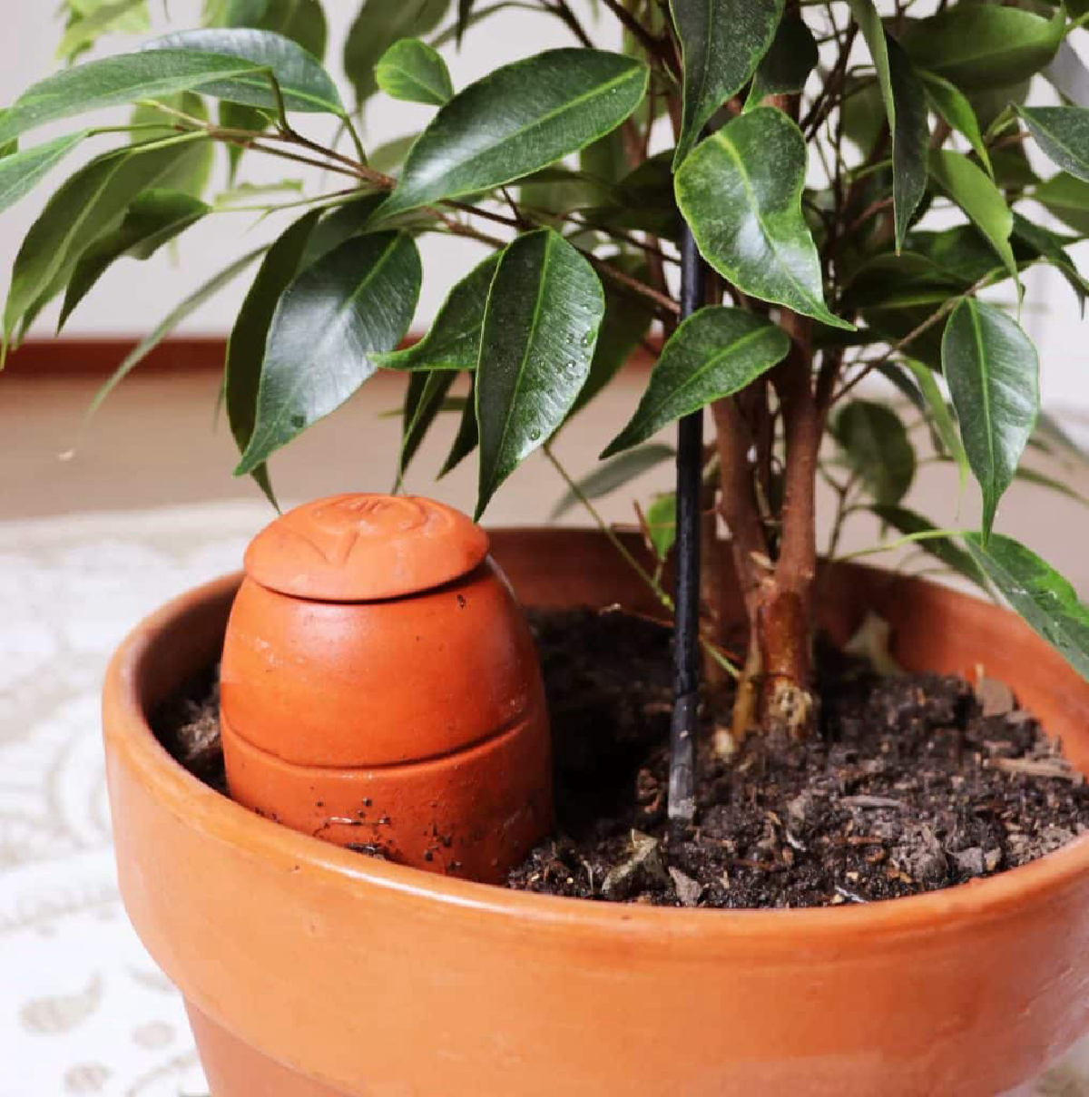 Une image de la marque Wepot