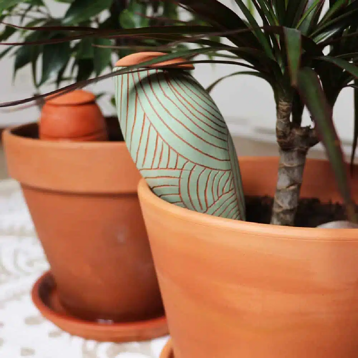 Une image de la marque Wepot