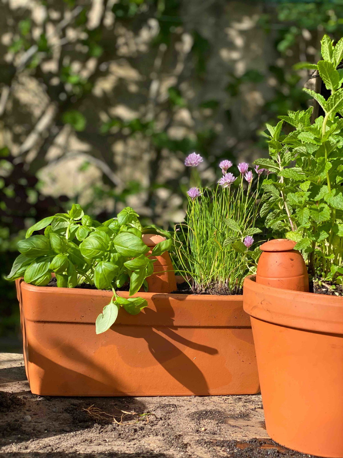 Une image de la marque Wepot