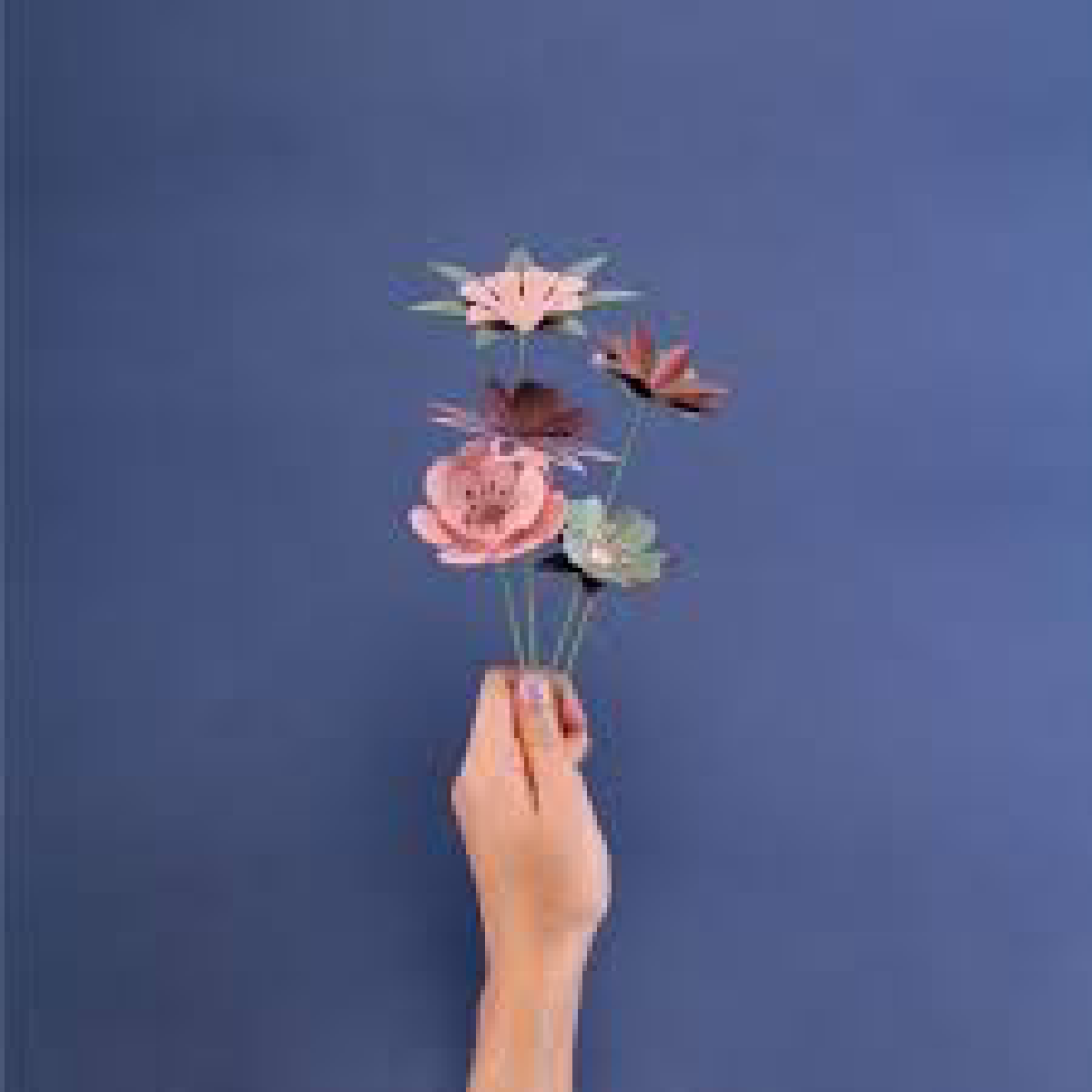 Une image de la marque PliPapierCiseaux